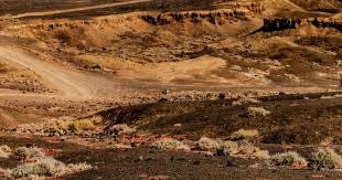 陕西：近百名选手冰上竞速 助力冰雪运动“热”起来